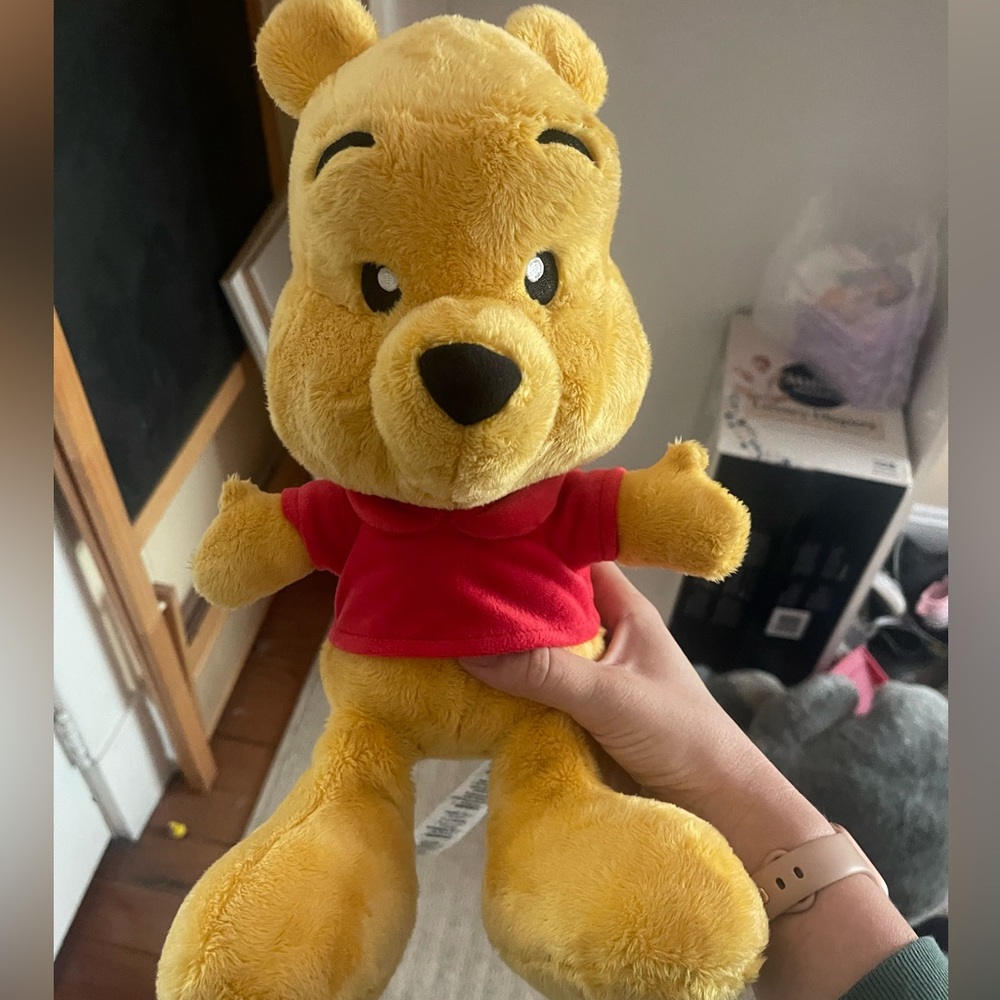 Disney parks Winnie the Pooh plush